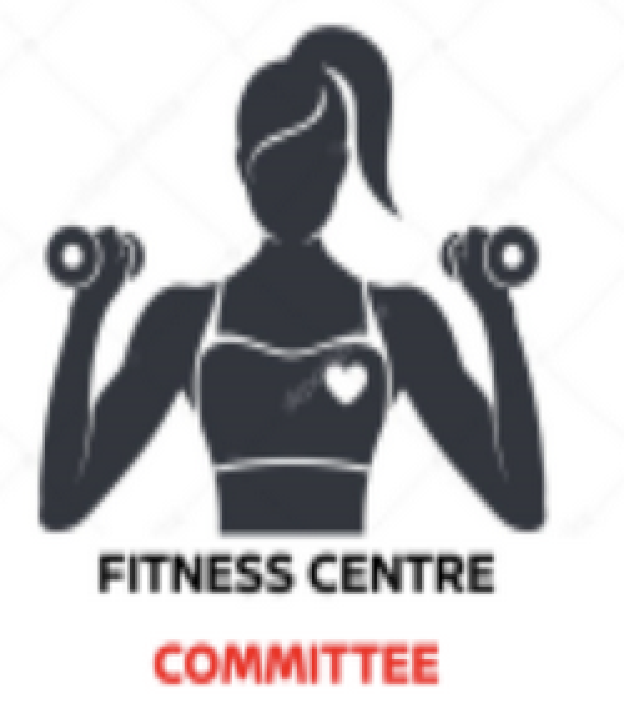 NISSAN FITNESS CENTRE LOGO 2